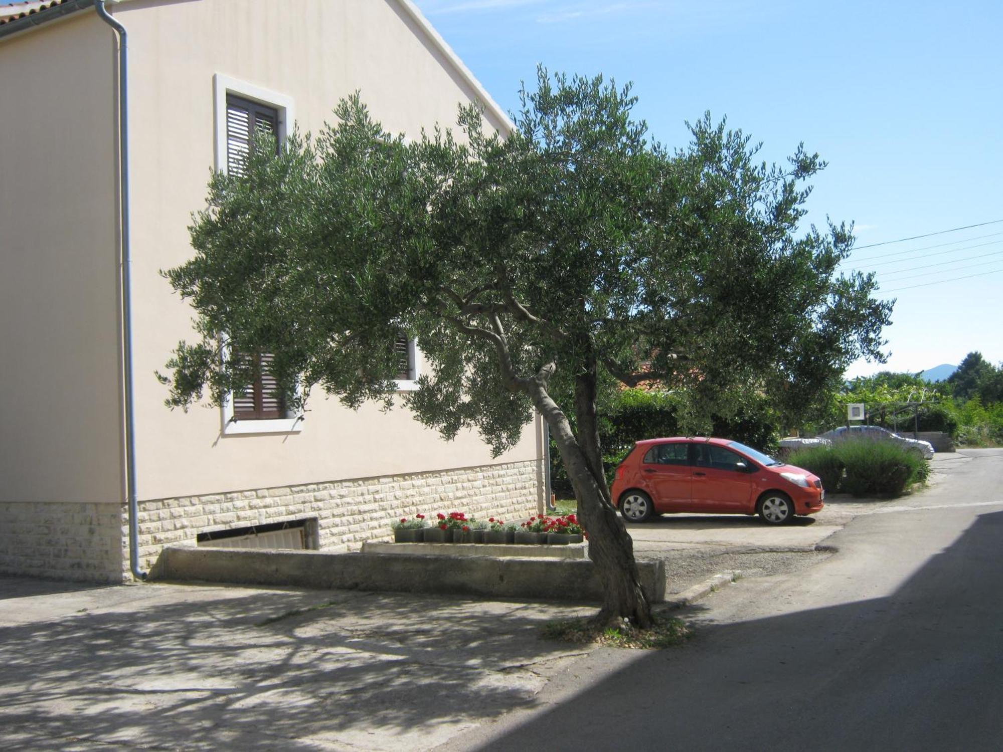 Apartament Blanka